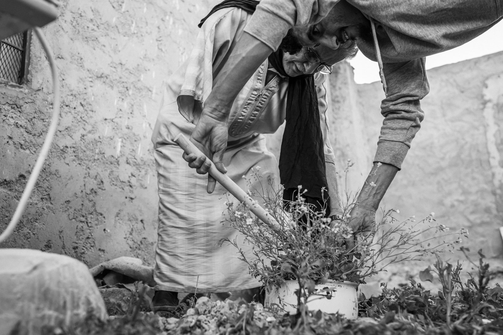 Azizas Haydaras su sūnumi sodina augalą