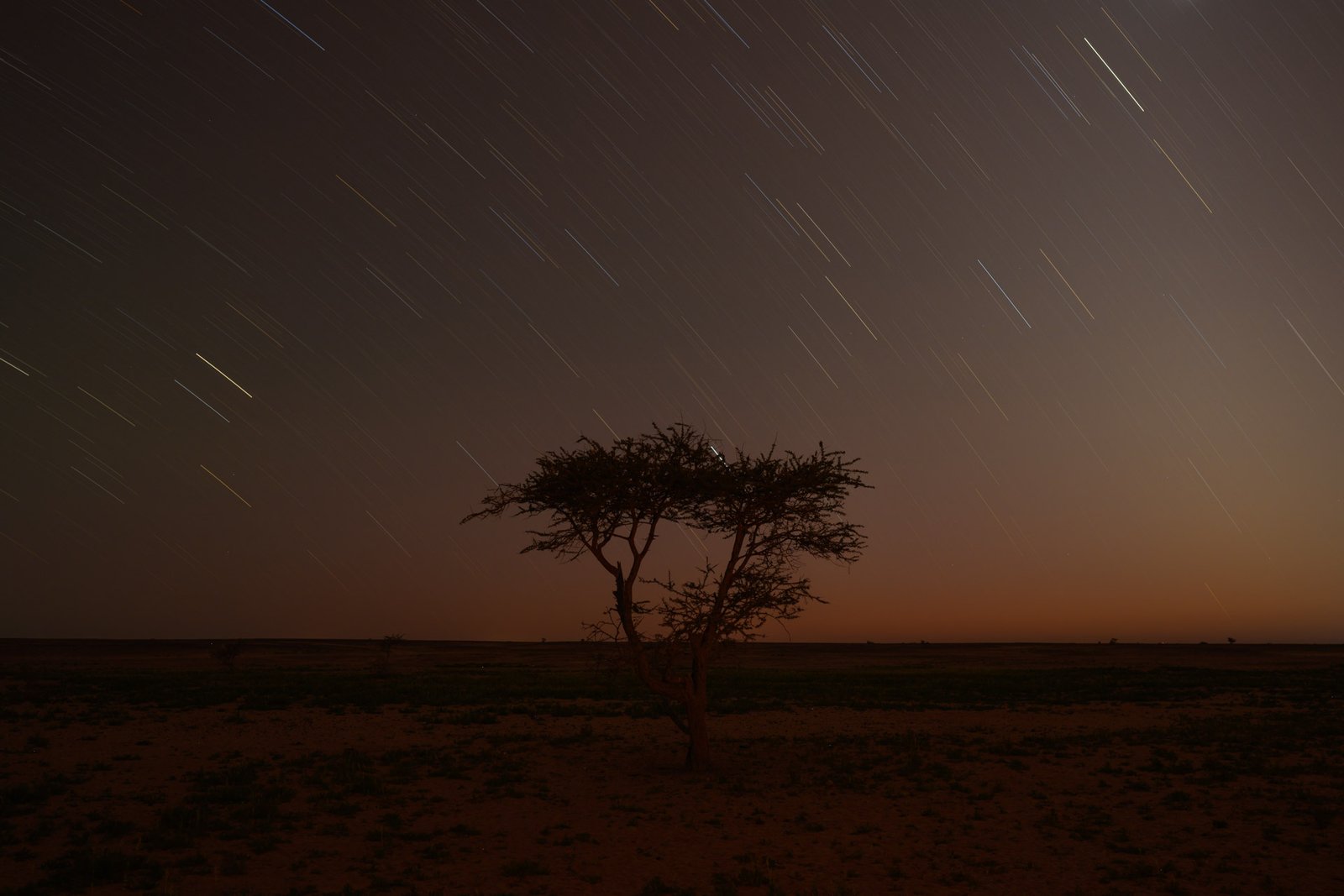 Naktinis Sacharos dangus